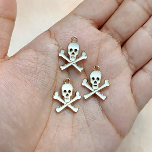 Danger Skull & Bones Jolly Roger Pirate Metal Charms